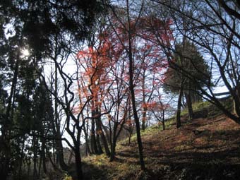 f:id:bon-ku-ra:20101219100210j:image f:id:bon-ku-ra:20101219100210j:image