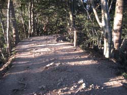 f:id:bon-ku-ra:20110201045845j:image f:id:bon-ku-ra:20110201045845j:image