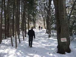f:id:bon-ku-ra:20110214044320j:image