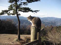 f:id:bon-ku-ra:20110220051024j:image f:id:bon-ku-ra:20110220051024j:image
