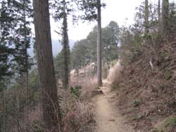 f:id:bon-ku-ra:20110304052437j:image
