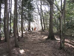 f:id:bon-ku-ra:20110307190401j:image