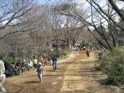 f:id:bon-ku-ra:20110309161915j:image