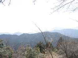 f:id:bon-ku-ra:20110315094502j:image f:id:bon-ku-ra:20110315094502j:image