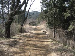f:id:bon-ku-ra:20110316185946j:image