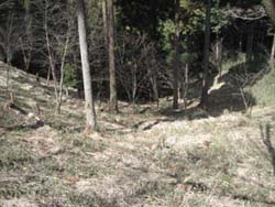 f:id:bon-ku-ra:20110320050639j:image