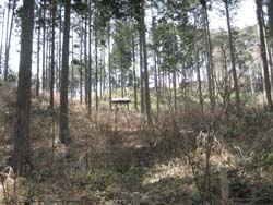 f:id:bon-ku-ra:20110321042824j:image
