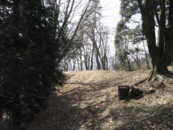 f:id:bon-ku-ra:20110322050033j:image