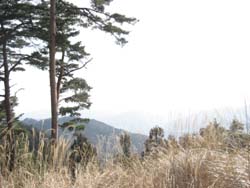 f:id:bon-ku-ra:20110322194951j:image