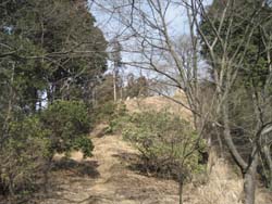f:id:bon-ku-ra:20110324060512j:image