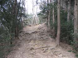 f:id:bon-ku-ra:20110331162118j:image f:id:bon-ku-ra:20110331162118j:image