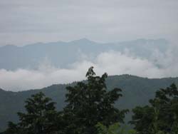 f:id:bon-ku-ra:20110623160247j:image f:id:bon-ku-ra:20110623160247j:image
