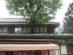 f:id:bon-ku-ra:20110703053313j:image