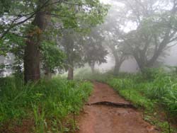 f:id:bon-ku-ra:20110711152130j:image