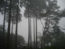 f:id:bon-ku-ra:20110723052430j:image