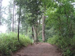 f:id:bon-ku-ra:20110810060743j:image