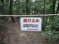 f:id:bon-ku-ra:20110820045404j:image