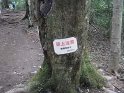 f:id:bon-ku-ra:20110828051925j:image