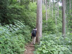 f:id:bon-ku-ra:20110831054216j:image