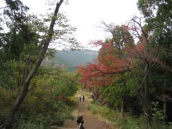 20111122154642