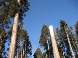 f:id:bon-ku-ra:20120205055708j:image