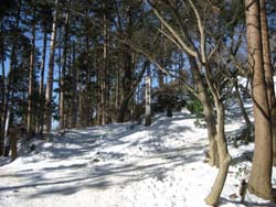 f:id:bon-ku-ra:20120208052451j:image f:id:bon-ku-ra:20120208052451j:image