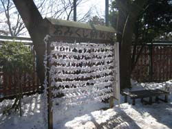 f:id:bon-ku-ra:20120209050207j:image