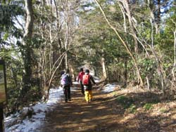 f:id:bon-ku-ra:20120210042624j:image