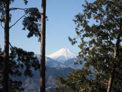 f:id:bon-ku-ra:20120211052820j:image