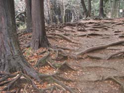 f:id:bon-ku-ra:20120320054857j:image f:id:bon-ku-ra:20120320054857j:image