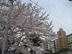 20120408061833