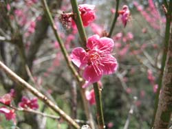 20120409045611