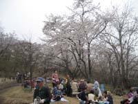 f:id:bon-ku-ra:20120422053830j:image