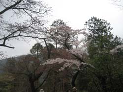 f:id:bon-ku-ra:20120426055202j:image