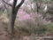 20120430054225