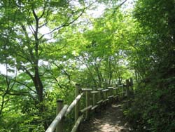 f:id:bon-ku-ra:20120507043434j:image