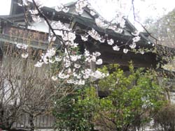 f:id:bon-ku-ra:20120508053452j:image f:id:bon-ku-ra:20120508053452j:image