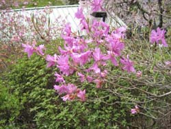 f:id:bon-ku-ra:20120510042420j:image