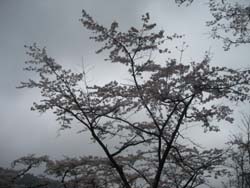 f:id:bon-ku-ra:20120512054036j:image