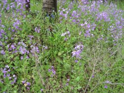 f:id:bon-ku-ra:20120517053204j:image