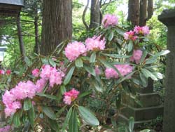 f:id:bon-ku-ra:20120526020844j:image f:id:bon-ku-ra:20120526020844j:image