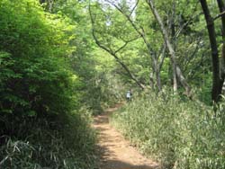 f:id:bon-ku-ra:20120528052936j:image