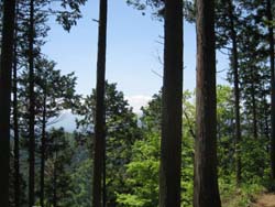 f:id:bon-ku-ra:20120529052128j:image