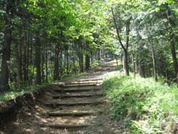 f:id:bon-ku-ra:20120602061205j:image