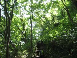 f:id:bon-ku-ra:20120608055002j:image