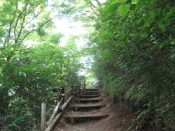 f:id:bon-ku-ra:20120617052952j:image