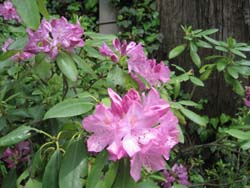 f:id:bon-ku-ra:20120623054234j:image