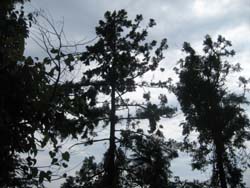 f:id:bon-ku-ra:20120802052436j:image