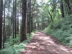 f:id:bon-ku-ra:20120808053225j:image