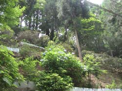 f:id:bon-ku-ra:20120810052045j:image
